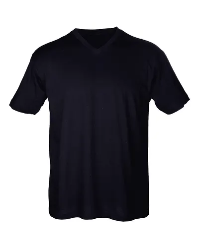 Tultex 206 Men's Fine Jersey V-Neck T-Shirt in Black — blank t-shirt, front view